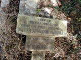 image of grave number 846928